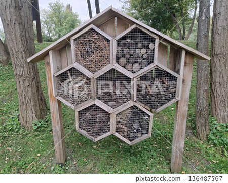 Wooden insect houses provide shelter for various insects in the park Wooden insect houses provide shelter for various insects in the park 136487567