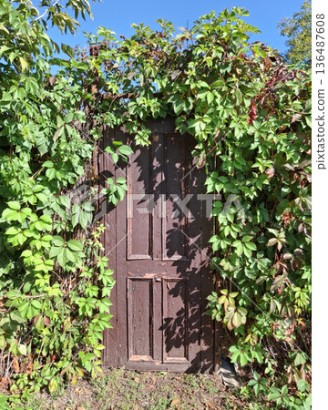 An old brown door leading to a garden plot An old brown door leading to a garden plot 136487608