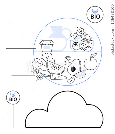 Healthy eating, organic farming, eco-friendly lifestyle, sustainability, vegan diet, fresh produce. Line art of vegetables, fruit and bio labels. Healthy eating and organic farming concept 136488100