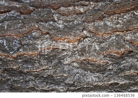 Tree Bark Texture Natural Background Tree Bark Texture Natural Background 136488536