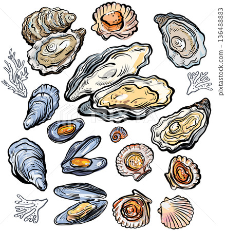 Seafood shell collection 136488883