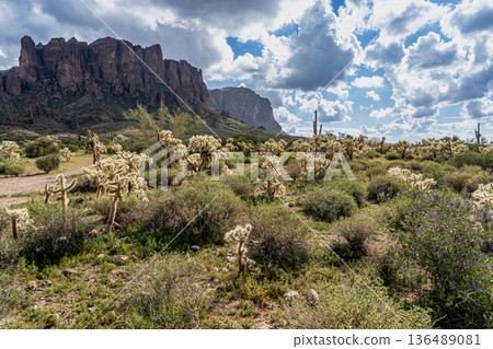 美國亞利桑那州迷信山脈 136489081