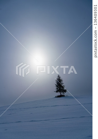 北海道美瑛 [無名樹] 冬日山丘上的夕陽（豎圖） 136489301