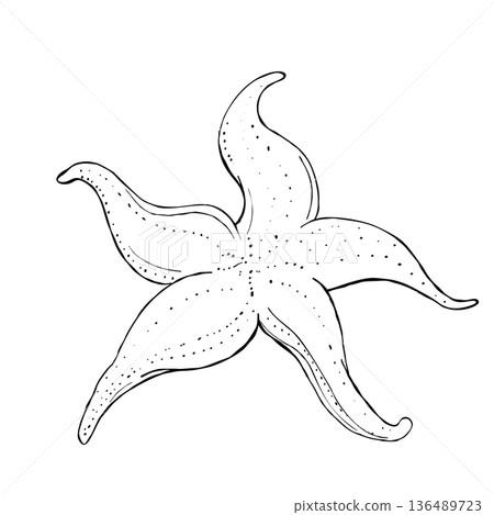Hand drawn starfish sea star top view black and white outline with dotted texture isolated on white for coastal decor Hand drawn starfish sea star top view black and white outline with dotted texture isolated on white for coastal decor 136489723