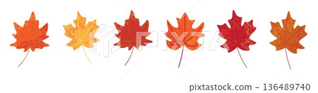 Set of colorful maple leaves in autumn shades of red orange and yellow isolated on white background flat seasonal foliage illustration Set of colorful maple leaves in autumn shades of red orange and yellow isolated on white background flat seasonal foliage illustration 136489740