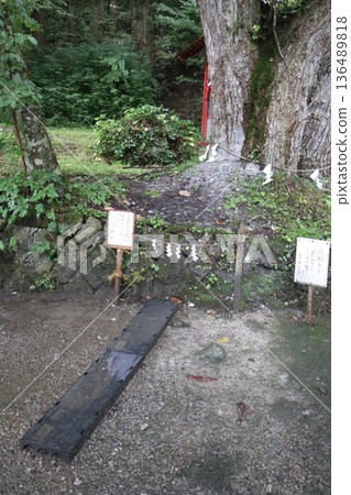 雨天,秋田縣田澤湖畔的御座石神社,東北地區 雨天,秋田縣田澤湖畔的御座石神社,東北地區 136489818