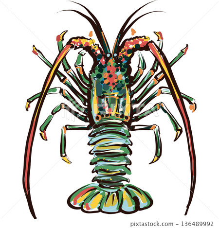 Expressive Spiny Lobster Illustration Hand Drawn Seafood Vector Expressive Spiny Lobster Illustration Hand Drawn Seafood Vector 136489992