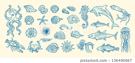 Hand Drawn Nautical Illustration Set Underwater Marine Life Grunge Sketch Sketch Line Grungy Doodle Hand Drawn Nautical Illustration Set Underwater Marine Life Grunge Sketch Sketch Line Grungy Doodle 136490867