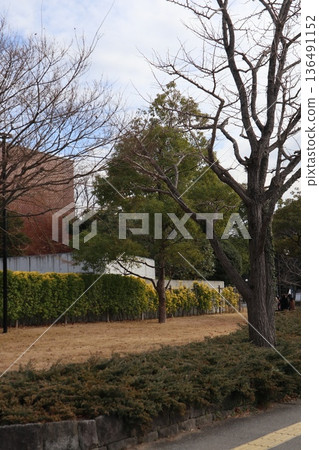 2024年,福岡,福岡市,景觀,中央區,大濠公園,大濠公園週邊,第20部分 2024年,福岡,福岡市,景觀,中央區,大濠公園,大濠公園週邊,第20部分 136491152