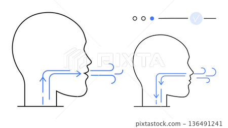 Healthcare, respiration, biology, air circulation, breathing techniques, oxygen flow. Two human head outlines with arrows airflow. Respiration and air circulation concepts 136491241