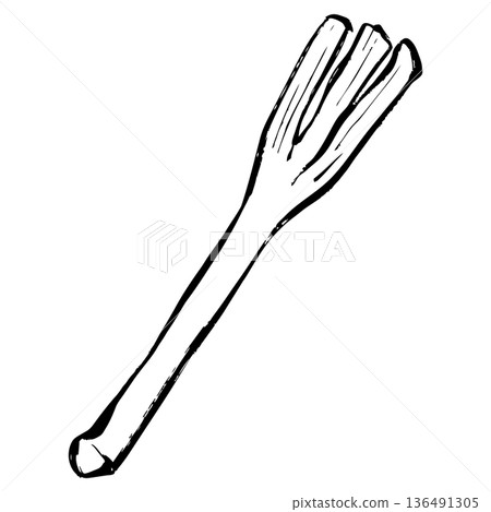 Line drawing illustration of green onion 136491305
