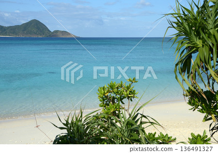 奄美大島宇多田原海灘 136491327