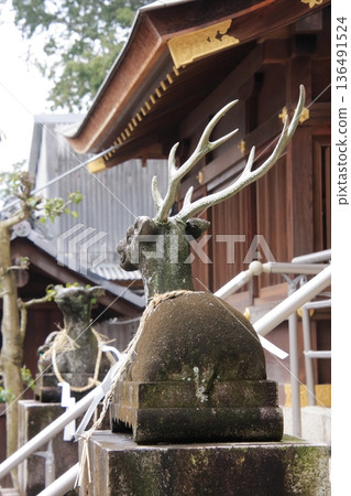 Tachiki Shrine, a famous cherry blossom spot in Kusatsu City, Shiga Prefecture Tachiki Shrine, a famous cherry blossom spot in Kusatsu City, Shiga Prefecture 136491524