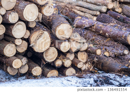Logging logs lacking timber biomass 136491554