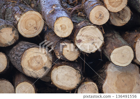 Logging logs lacking timber biomass 136491556