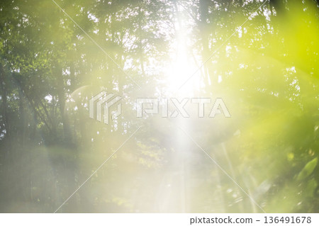 清新翠綠的森林生態形象奧大仙 清新翠綠的森林生態形象奧大仙 136491678