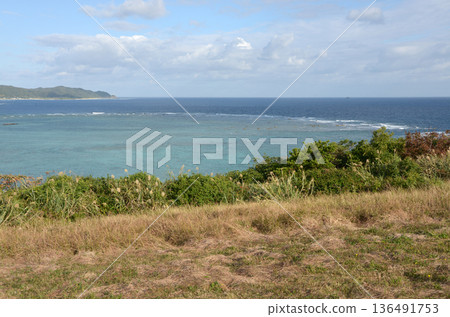 綾丸岬、奄美大島 136491753