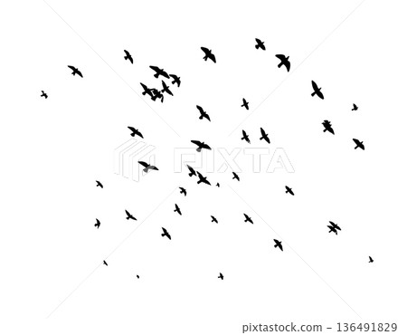 Flying birds silhouette flock. hand drawing. Not AI. Vector illustration 136491829