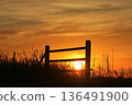 Kansas Farm Fence silhouette at Sunset with the Sun and clouds 136491900