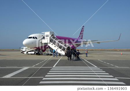 桃子航空飛機 136491903