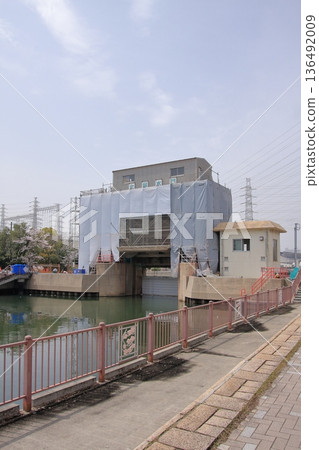 兵庫縣尼崎市尼崎船閘的櫻花景色 兵庫縣尼崎市尼崎船閘的櫻花景色 136492009