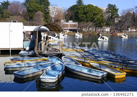 Boats on Inokashira Pond Boats on Inokashira Pond 136492271