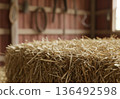 Close-up macro shot of a dry hay bale texture with sharp details in the foreground 136492598