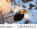 Person in winter coat enjoys grilled lard and bread skewer in snowy landscape. 136492623