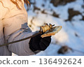 Person holds grilled bacon on a stick, bread, in snowy outdoor winter scene. 136492624