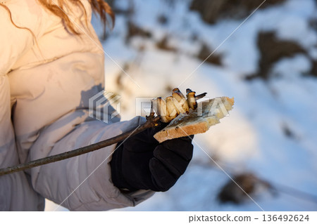 Person holds grilled bacon on a stick, bread, in snowy outdoor winter scene. 136492624