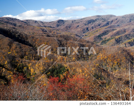 從觀景台上看到的秋季山脈景色 從觀景台上看到的秋季山脈景色 136493164