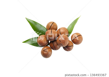 Macadamia nuts and leaves on white, PNG Macadamia nuts and leaves on white, PNG 136493367