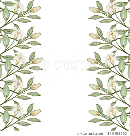 Vertical floral border with white lilies and green foliage in soft watercolor style on light background, elegant botanical frame with spacious center ideal for greeting cards, posters, church programs Vertical floral border with white lilies and green foliage in soft watercolor style on light background, elegant botanical frame with spacious center ideal for greeting cards, posters, church programs 136493562