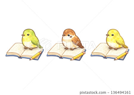 閱讀鳥類套裝，水彩風格，學習，鳥類插圖，剪紙材料 136494161