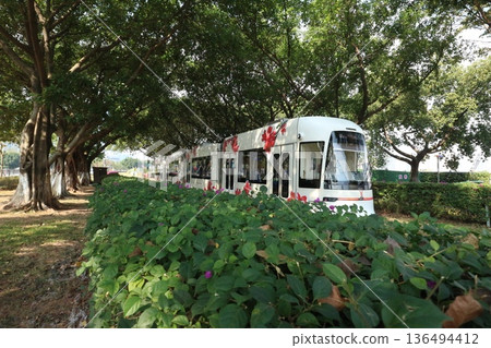 Guangzhou tram and trees Guangzhou tram and trees 136494412