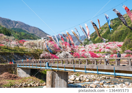 Hanamomo no Sato (Hanamomo Festival) 136495573