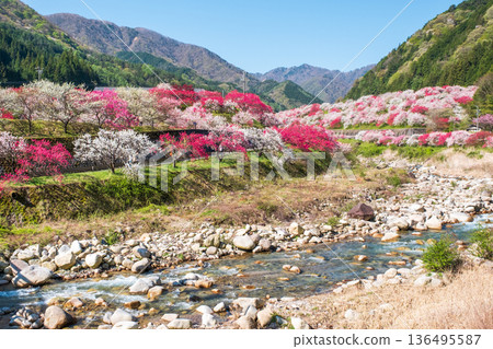 Hanamo no Sato 136495587
