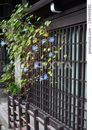 Sanmachi Street Sanmachi Street 136495692