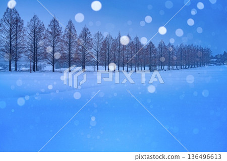 輕柔的雪花飄落在綠杉樹成蔭的街道上。 136496613