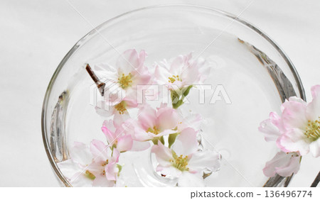 京尾櫻花漂浮在水面上的特寫鏡頭 京尾櫻花漂浮在水面上的特寫鏡頭 136496774