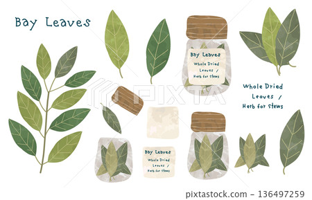 Hand-drawn illustration set of bay leaves, laurel branches and bottled spices Hand-drawn illustration set of bay leaves, laurel branches and bottled spices 136497259