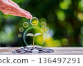 A tree planted on a pile of coins by hand, and symbols of business and finance; concepts related to business growth, finance, and investment. 136497291