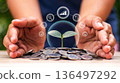 A tree planted on a pile of coins by hand, and symbols of business and finance; concepts related to business growth, finance, and investment. 136497292