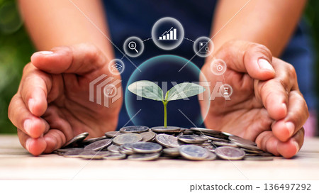 A tree planted on a pile of coins by hand, and symbols of business and finance; concepts related to business growth, finance, and investment. 136497292