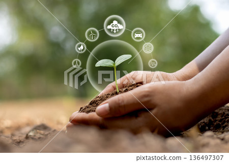 Help reduce global warming by planting trees: a natural way to absorb carbon and increase oxygen levels. 136497307