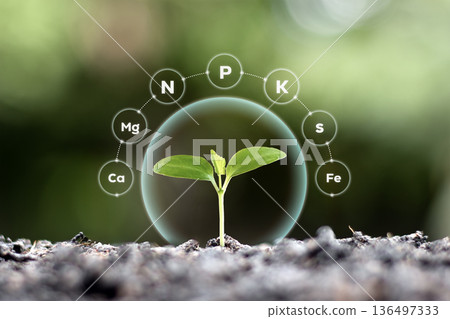 Healthy green trees thrive in rich, dark soil, accompanied by graphic symbols representing essential nutrients (such as N, P, K, and minerals). Healthy green trees thrive in rich, dark soil, accompanied by graphic symbols representing essential nutrients (such as N, P, K, and minerals). 136497333