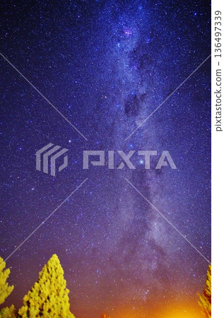 New Zealand's starry sky 136497339