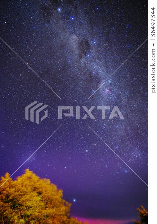 New Zealand's starry sky 136497344