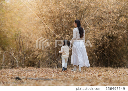 mother and child girl walking through a dry bamboo forest mother and child girl walking through a dry bamboo forest 136497349
