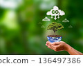 The CO2 symbol, or carbon dioxide, on a tree held by people represents the concept of reducing carbon dioxide emissions. 136497386